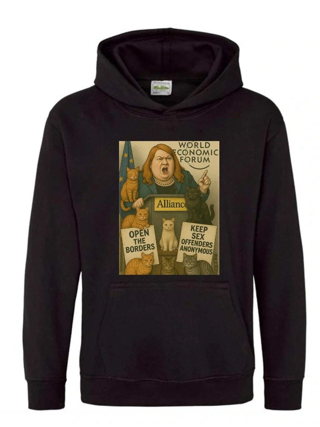 Alliance hoodie